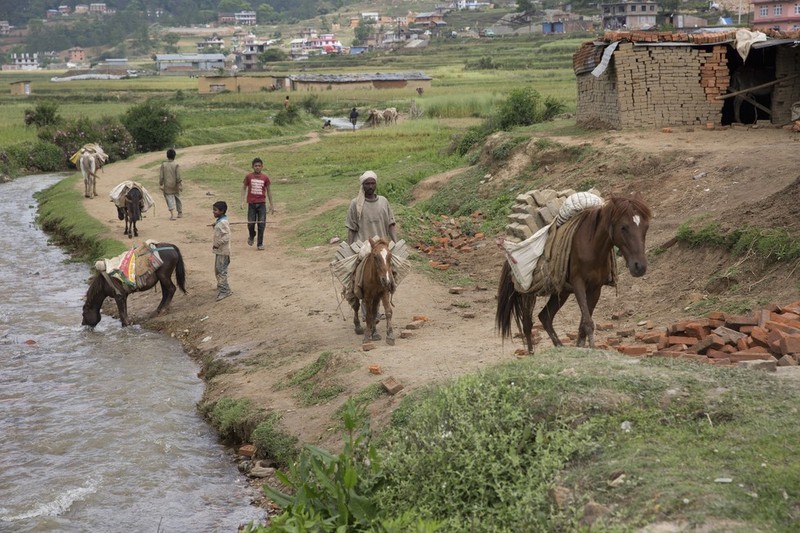 Xuc dong canh dong vat song sot sau dong dat Nepal (2)-Hinh-3